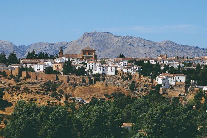 Private Visit to Ronda 2 Hours - Customer Reviews and Testimonials