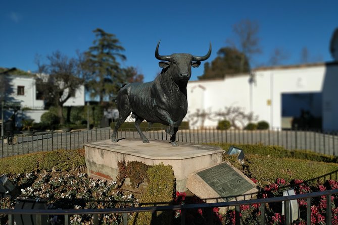 Private Visit to Ronda 2 Hours - Special Recommendations and Tips
