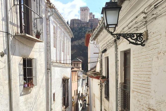 Private Visit to the Alhambra and Albaicín, With Skip-The-Line Tickets - Granada - Private Visit to the Alhambra