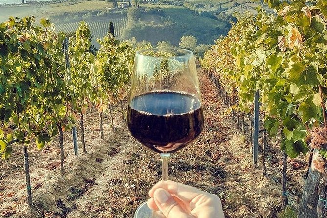 Private Visit to the Cellars of Etna With Wine Tasting - Cancellation Policy