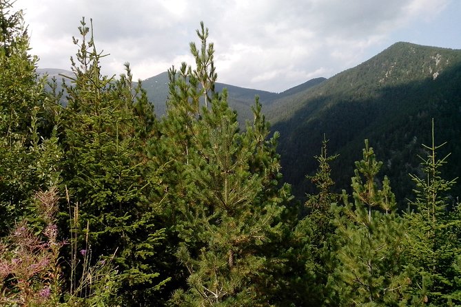 Private Vitosha Mountains Hiking With Black Peak & Dragalevtsi Monastery - Why Choose This Tour