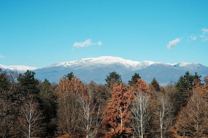 Private Vitosha Mountains Hiking With Black Peak & Dragalevtsi Monastery - Reviews Overview