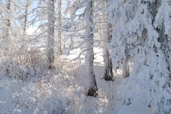 Private Vitosha Mountains Hiking With Black Peak & Dragalevtsi Monastery - Operator and Cancellation Policy