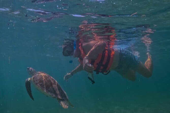 Private VW Beetle Tour Swim with Turtles, Visit Tulum Ruins&Town - Good To Know