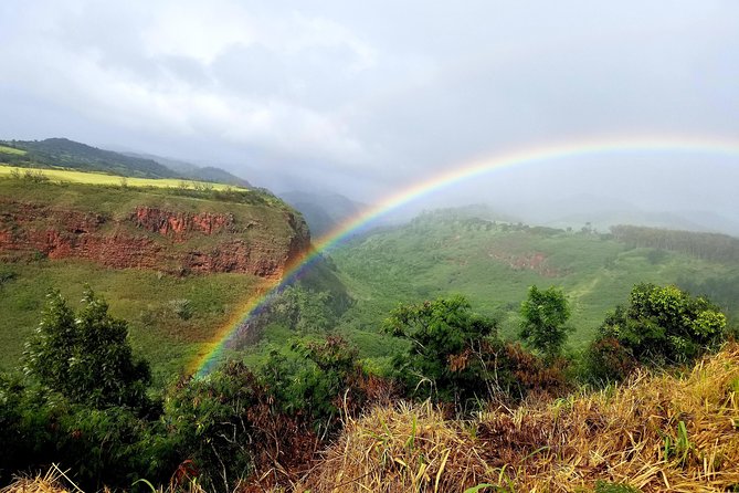 Private Waimea Canyon Tour - Traveler Photos and Tips