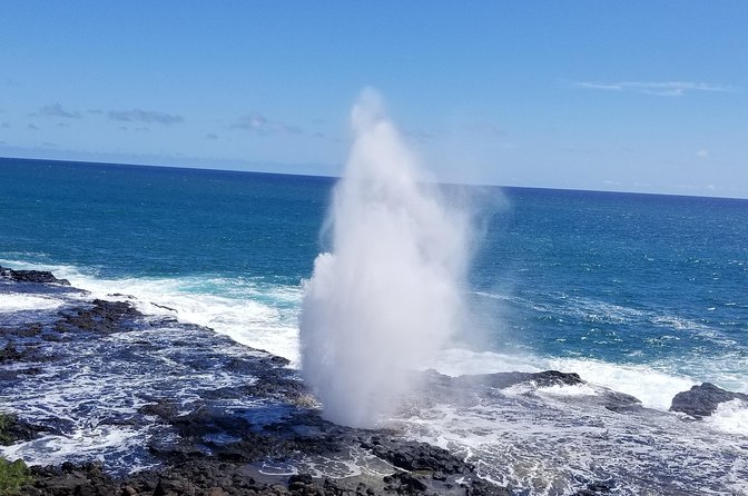 Private Waimea Canyon Tour - Tour Itinerary and Locations
