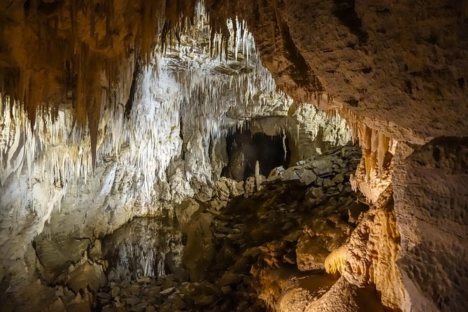 Private Waitomo Caves Tour - Auckland Tour House - Meeting and Pickup