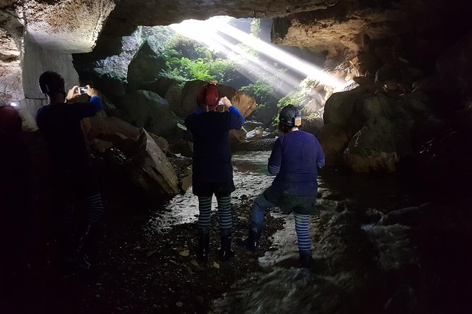 Private Waitomo Glowworm Cave Tours - Knowledgeable Guide Provided