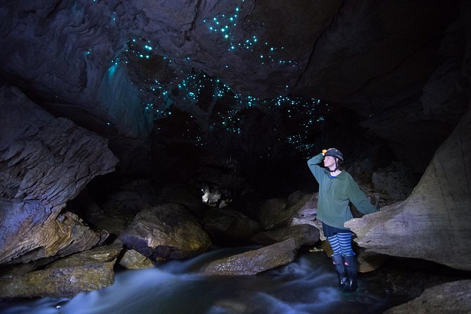 Private Waitomo Glowworm Cave Tours - The Sum Up
