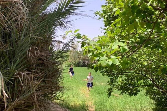 Private Walk in the Skoura Palmeraie - Good To Know