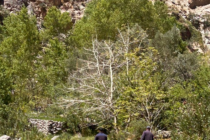 Private Walk in the Skoura Palmeraie - Activity Details