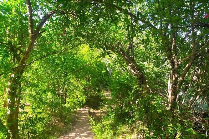 Private Walk in the Skoura Palmeraie - Frequently Asked Questions