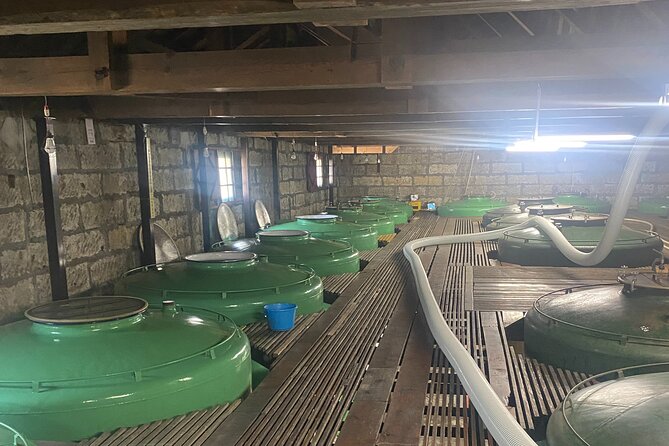 Private Walking and Wine Tasting Sake Brewery Tour in Ibaraki - Alcoholic Beverages and Tasting Experience