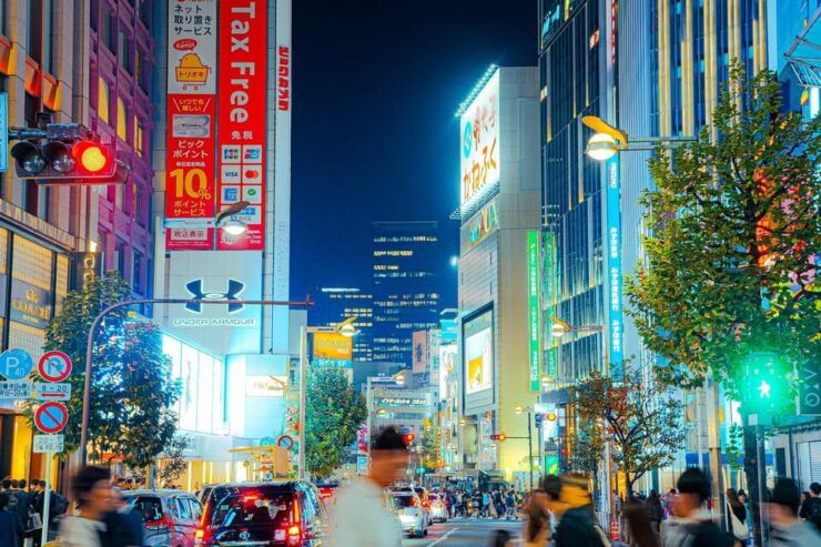 Private Walking Night Tour to Shinjuku Back Street - Itinerary Highlights