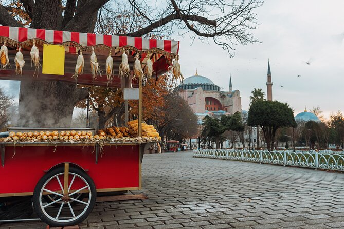 Private Walking Old City Tour of Istanbul ( SULTANAHMET TOUR ) - Booking Terms and Conditions