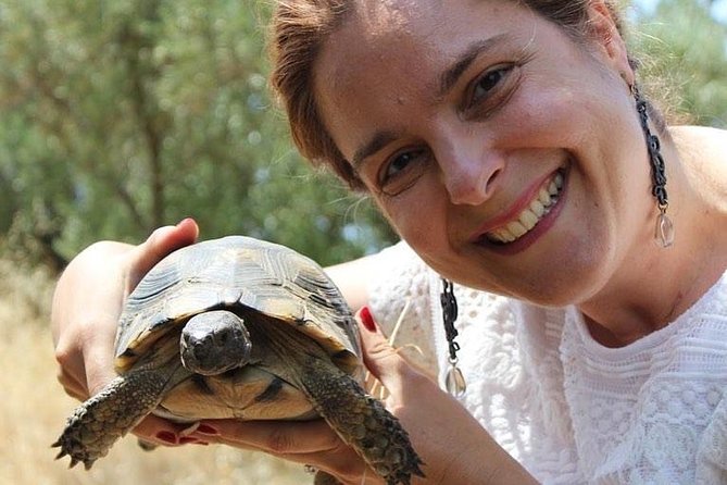 Private Walking Tour- 3000 Years of History Around the Acropolis Rock - Common Questions