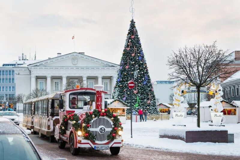 Private Walking Tour Around Vilnius During Christmas Time - The Itinerary: What You Can Expect