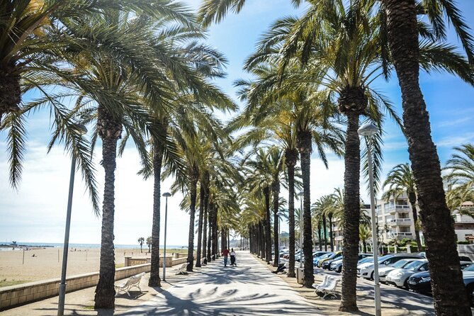 Private Walking Tour at Sunny Isles - Real Insights from Reviews