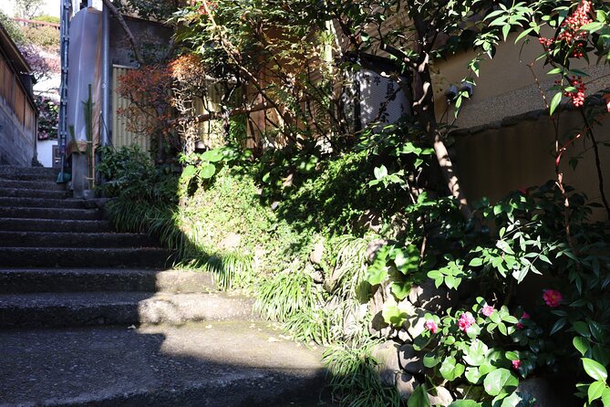 Private Walking Tour at Tokyos Hidden Gem: Kagurazaka - Photography Service