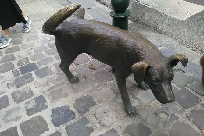 Private Walking Tour : Brussels Historical City Center Half Day - Uncovering the Secrets of Brussels Historical Streets