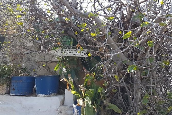 Private Walking Tour- Enjoy a Sunset Tour in Plaka - Reviews From Viator Travelers