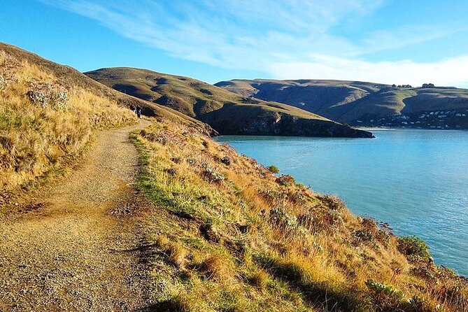 Private Walking Tour From Christchurch - Lyttelton & Godley Head - Meeting and Pickup