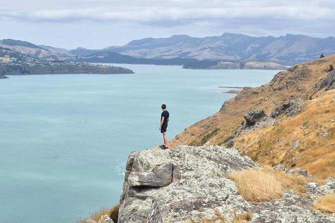 Private Walking Tour From Christchurch - Lyttelton & Godley Head - Cancellation Policy