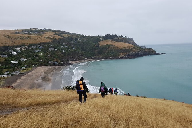 Private Walking Tour From Christchurch - Lyttelton & Godley Head - Additional Information