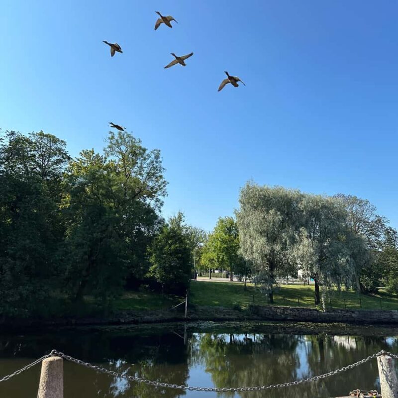 Private Walking Tour Gothenburg: Old Town & Åsa Coastline - Exploring Gothenburg and Åsa: A Private Walking Tour That Combines City Charm and Coastal Calm