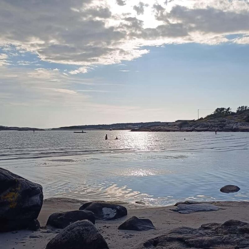 Private Walking Tour Gothenburg: Old Town & Åsa Coastline - Overall Value and Who Will Love This Tour