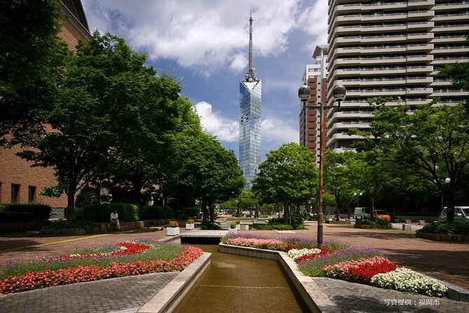 Private Walking Tour History to Future of Nishijin and Momochi - Unveiling Momochis Future