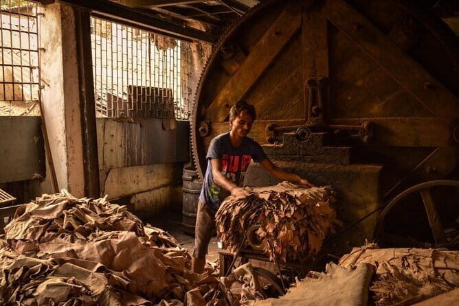 Private Walking Tour in Dharavi Slums - Good To Know