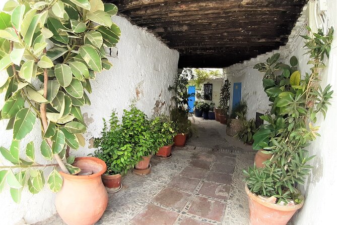 Private Walking Tour in Frigiliana - Price and Group Size