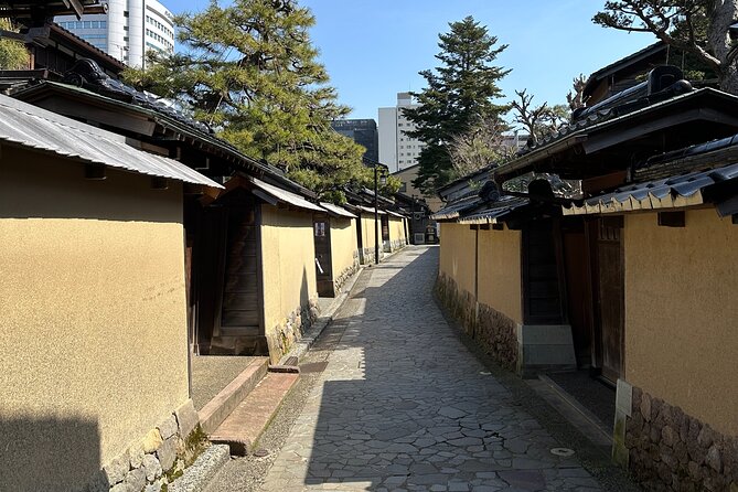 Private Walking Tour in Kanazawa With Local Guides - Pricing and Group Size Options