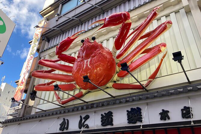Private Walking Tour in Osaka's Kuromon Market and Dotonbori - Practical Details