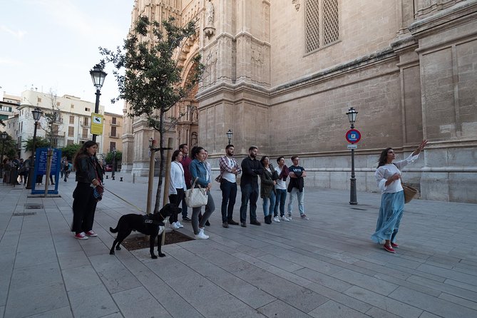 Private Walking Tour in Palma De Mallorca With Local Guides. - Tour Duration and Language Options