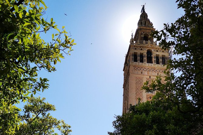 Private Walking Tour in Seville City Center - Additional Information
