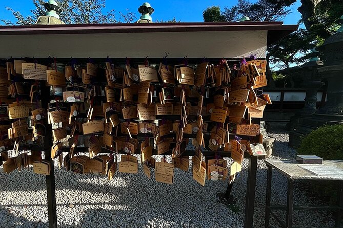 Private Walking Tour in Tokyo With a Local Guide - Weather-Dependent Options