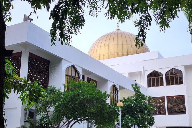 Private Walking Tour of Malé - Who Will Love This Tour?