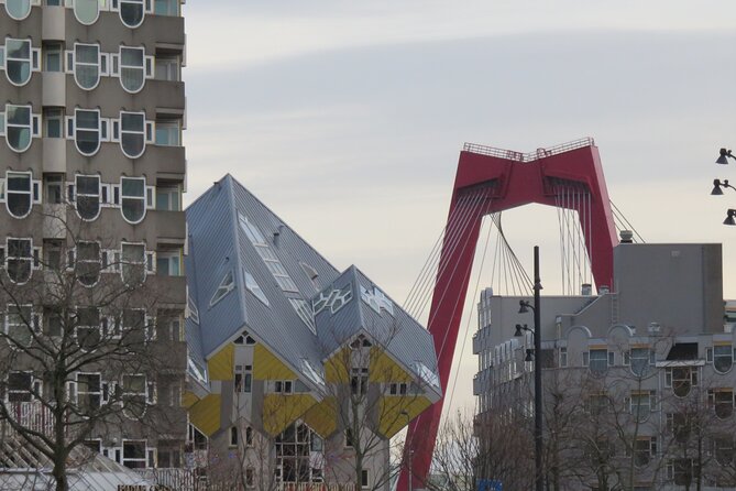 Private Walking Tour of Rotterdam With Local - Why Choose a Private Walking Tour?