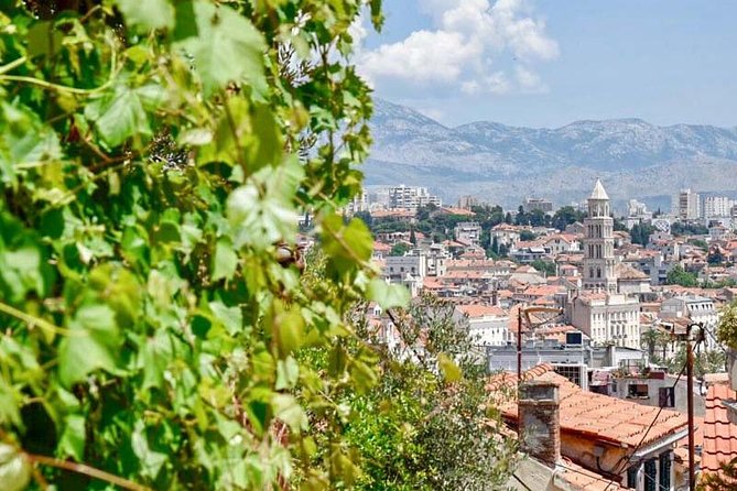 Private Walking Tour of Split With a Local - Tour Inclusions
