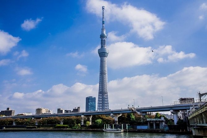Private Walking Tour of Tokyo With a Water Bus Ride - Water Bus Ride Experience