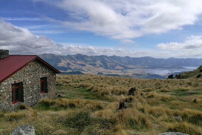 Private Walking Tour - Packhorse Hut From Christchurch - Meeting Point and Duration