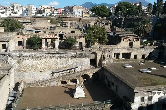 Private Walking Tour Through the Historical City of Herculaneum - Common Questions