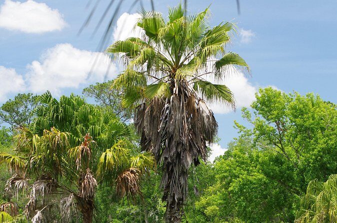 Private Walking Tour to St. John's Botanical Garden - Practical Tips for Visitors