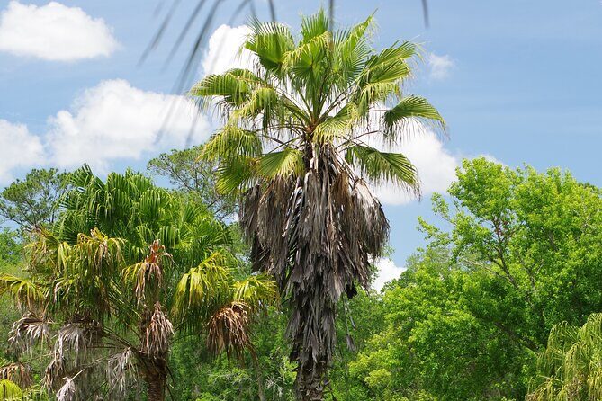 Private Walking Tour to St. John's Botanical Garden - The Sum Up: Who Is This Tour Perfect For?