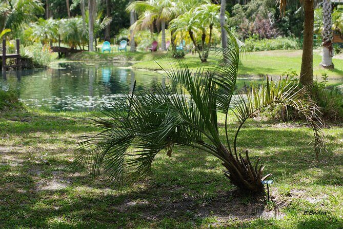 Private Walking Tour to St. John's Botanical Garden - Frequently Asked Questions