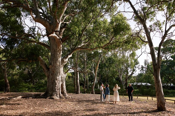 Private Warriparinga Cultural and Historical Tour - Additional Information and Tips
