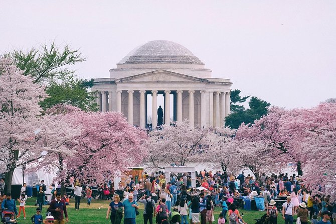 Private Washington DC City Tour - Tour Overview