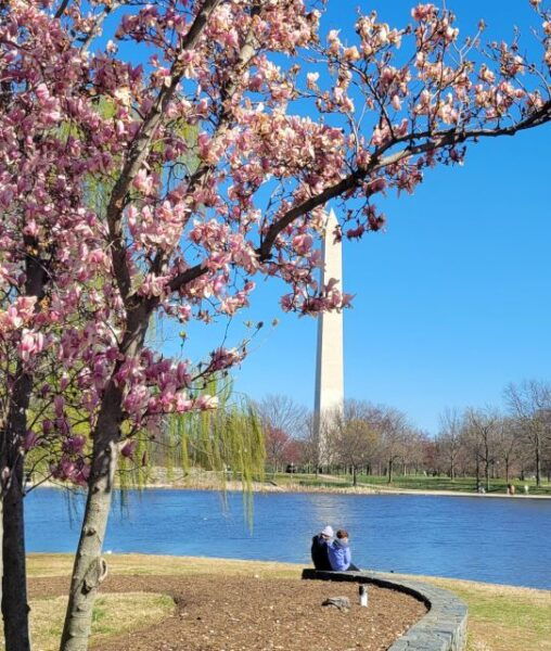Private Washington DC Grand Tour - Sightseeing Options